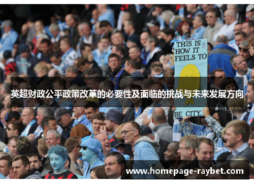 英超财政公平政策改革的必要性及面临的挑战与未来发展方向 英超财政公平政策改革的必要性及面临的挑战与未来发展方向