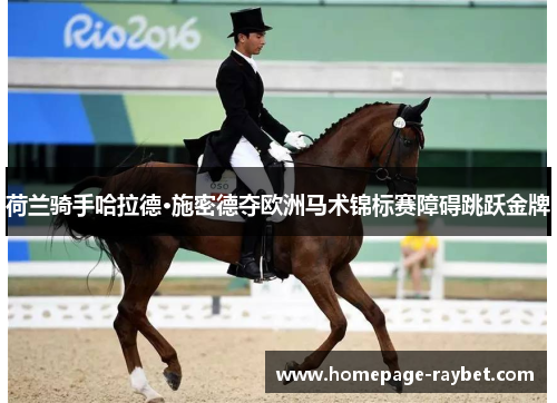 荷兰骑手哈拉德·施密德夺欧洲马术锦标赛障碍跳跃金牌 荷兰骑手哈拉德·施密德夺欧洲马术锦标赛障碍跳跃金牌