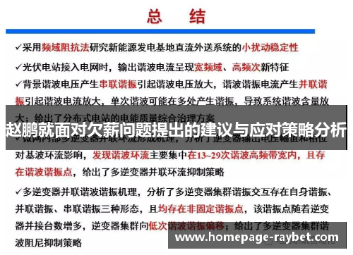 赵鹏就面对欠薪问题提出的建议与应对策略分析