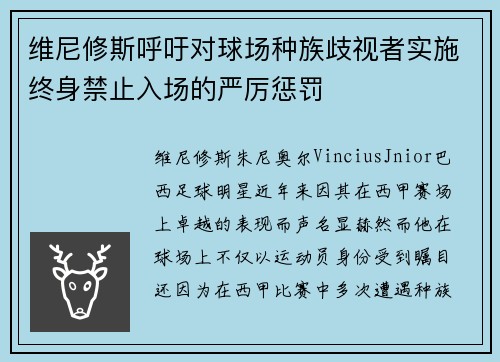 维尼修斯呼吁对球场种族歧视者实施终身禁止入场的严厉惩罚