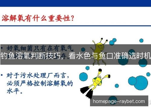 钓鱼溶氧判断技巧，看水色与鱼口准确选时机